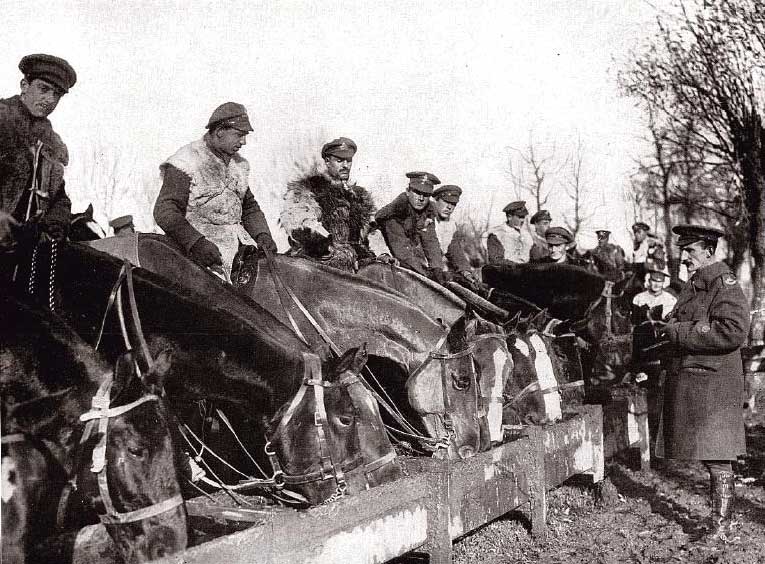 Канадские артиллеристы в зимней униформе
