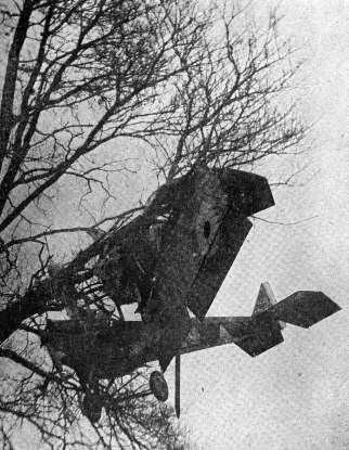 Поврежденный английский самолет на дереве.
