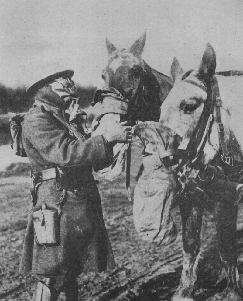 Британский кавалерист и лошадь в защитных масках